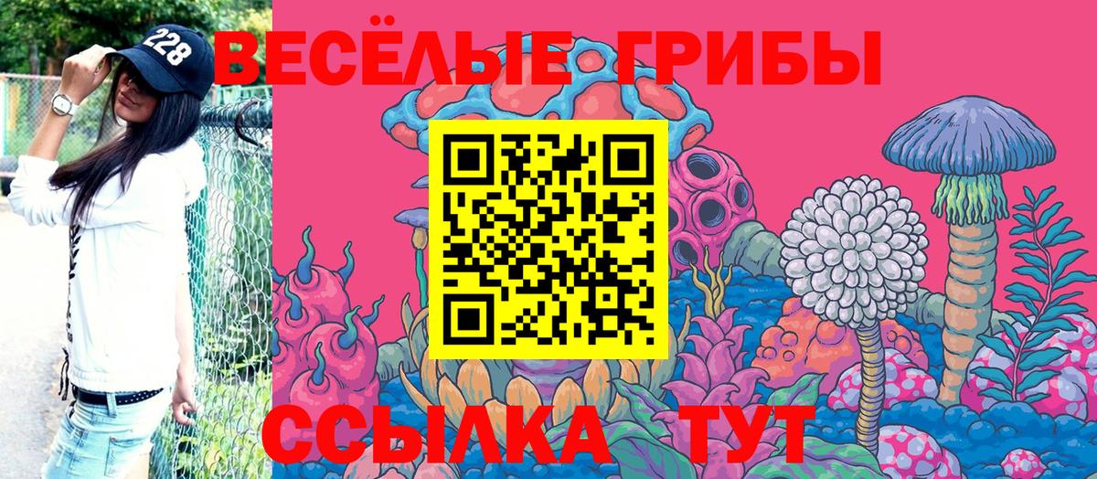 Галлюциногенные грибы ЛСД  наркошоп  Галлюциногенные грибы прущие грибы  Стрежевой  Вход с VPN 